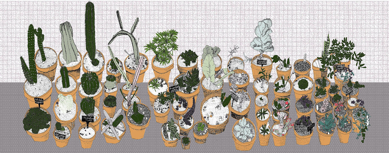 Clare Halifax | Pano Pots | Original Screenprint | Shop Fodder