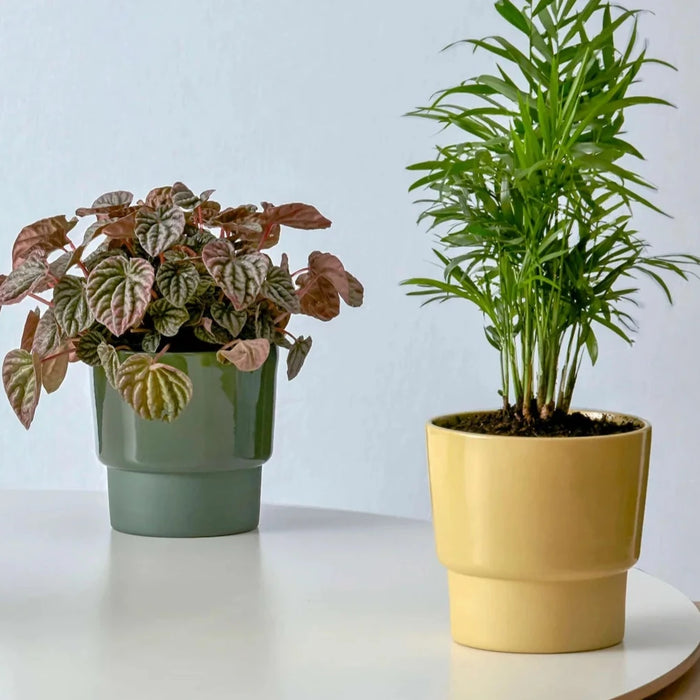 medium pots for indoor plants Medium Planter by Emma Johnson Ceramics