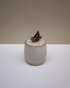 A small handmade ceramic lidded container with a speckled off-white body and a dark brown to black organic-shaped lid topper, set against a neutral beige and white background.  Liz Vidal Ceramics | Fodder | Hope Collection