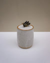 A small handmade ceramic lidded container with a textured off-white body, a rustic brown rim, and a small sculptural black and gold bird on top, set against a neutral beige and white background.  Liz Vidal Ceramics | Fodder | Hope Collection