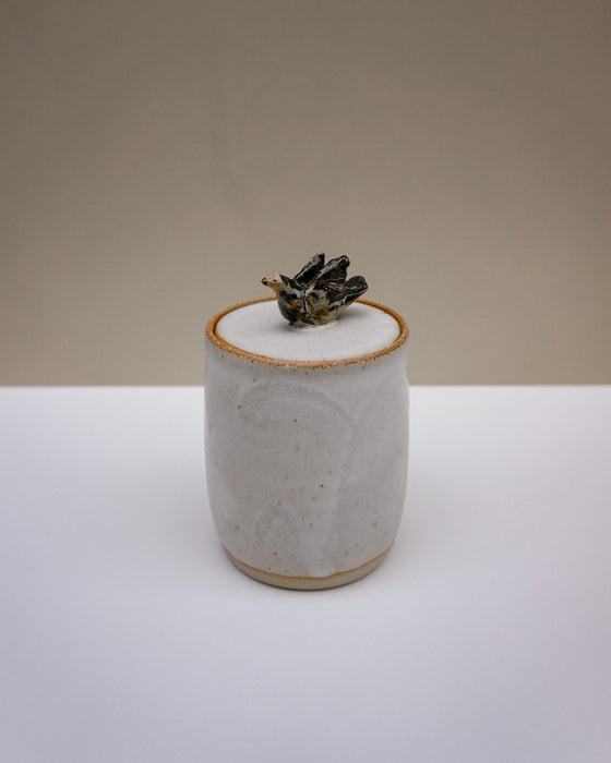 A small handmade ceramic lidded container with a textured off-white body, a rustic brown rim, and a small sculptural black and gold bird on top, set against a neutral beige and white background.  Liz Vidal Ceramics | Fodder | Hope Collection
