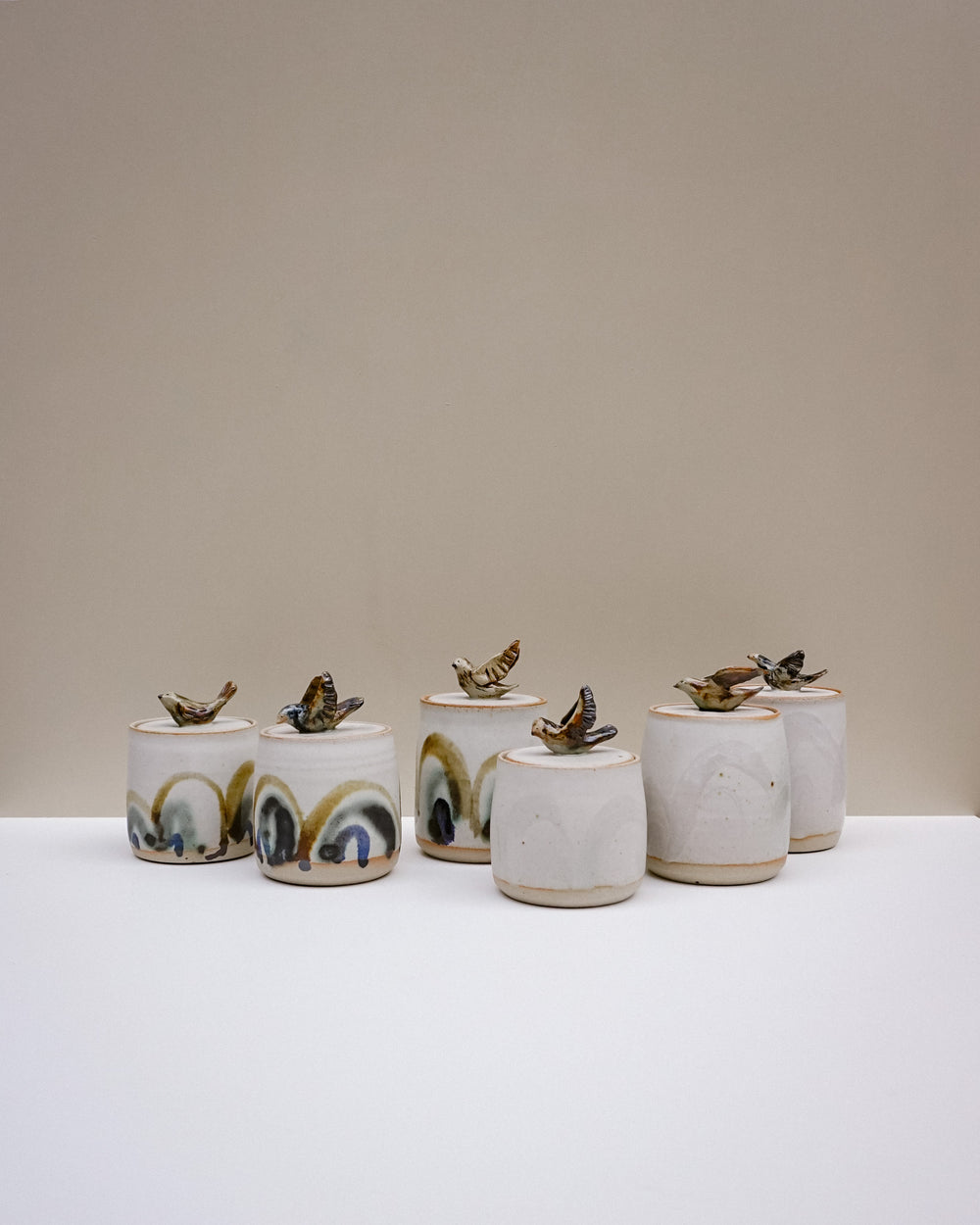 Hope is the Thing with Feathers | Liz Vidal