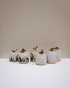 Six small handmade ceramic canisters with lids, decorated with abstract painted patterns in earthy tones and topped with sculptural bird figures, arranged on a white surface against a beige background. Liz Vidal Ceramics | Fodder | Hope Collection