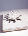 Close up of raised sun and glaze texture - Lily Pearmain | Fodder