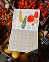 2027 Seasonal Eating Calendar by Mainly Breakfast - hand-illustrated seasonal produce - Fodder