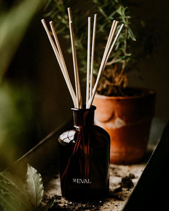 A dark amber glass reed diffuser bottle with natural wooden reeds, labeled 'SIEVAL', set on a stone surface with a blurred potted plant in the background. Bay & Rosemary reed diffuser by St Eval - herbaceous home fragrance - Fodder