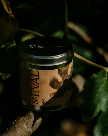 Fig Tree scented tin candle by St Eval - illustrated tin - Fodder