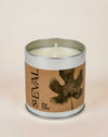 A StEVAL Fig Tree scented candle in a silver metal tin with a brown kraft paper label featuring a dark leaf illustration, set against a solid light beige background.
