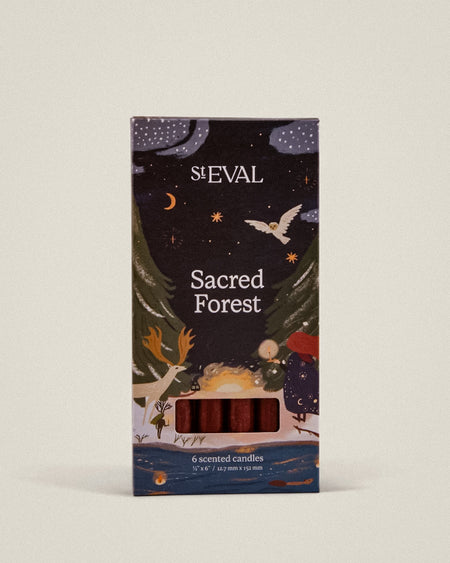 Sacred Forest Mini Fragranced Festive Candles by St Eval - fresh woody pine and winter forest scent - made in Cornwall - Fodder