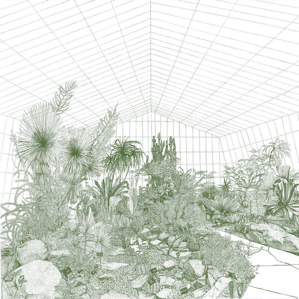 Greenhouse Cacti