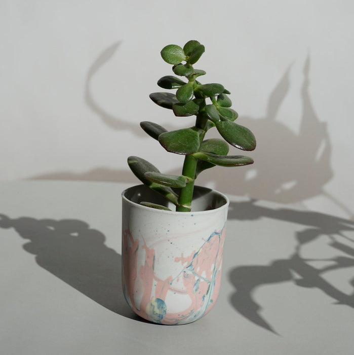 a money plant in a small handmade planter. 