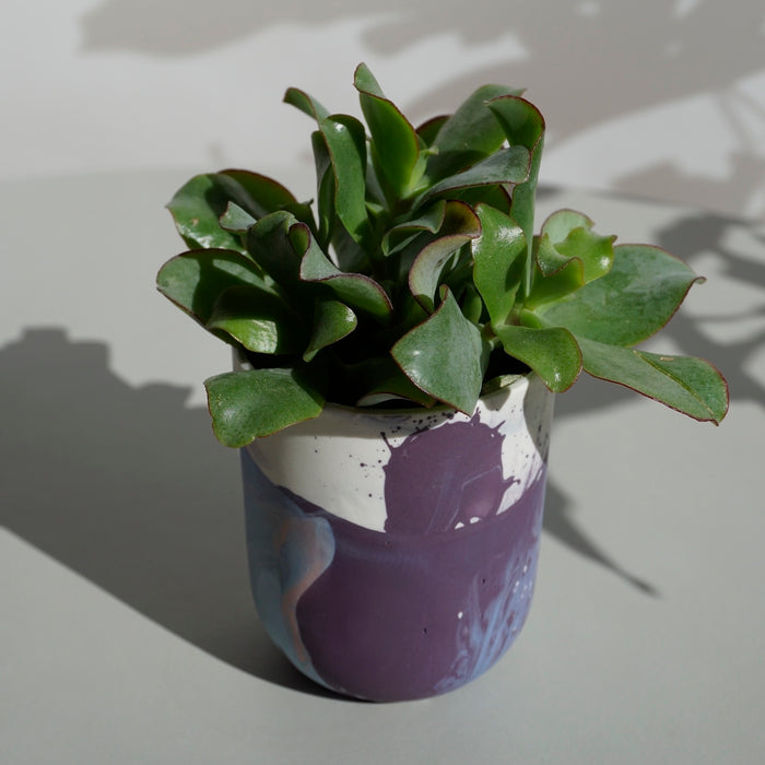 a bright green plan in a purple marble handmade ceramic planter