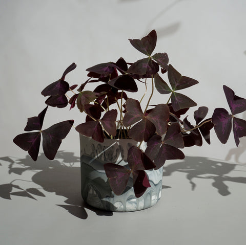 Fountouki Planter