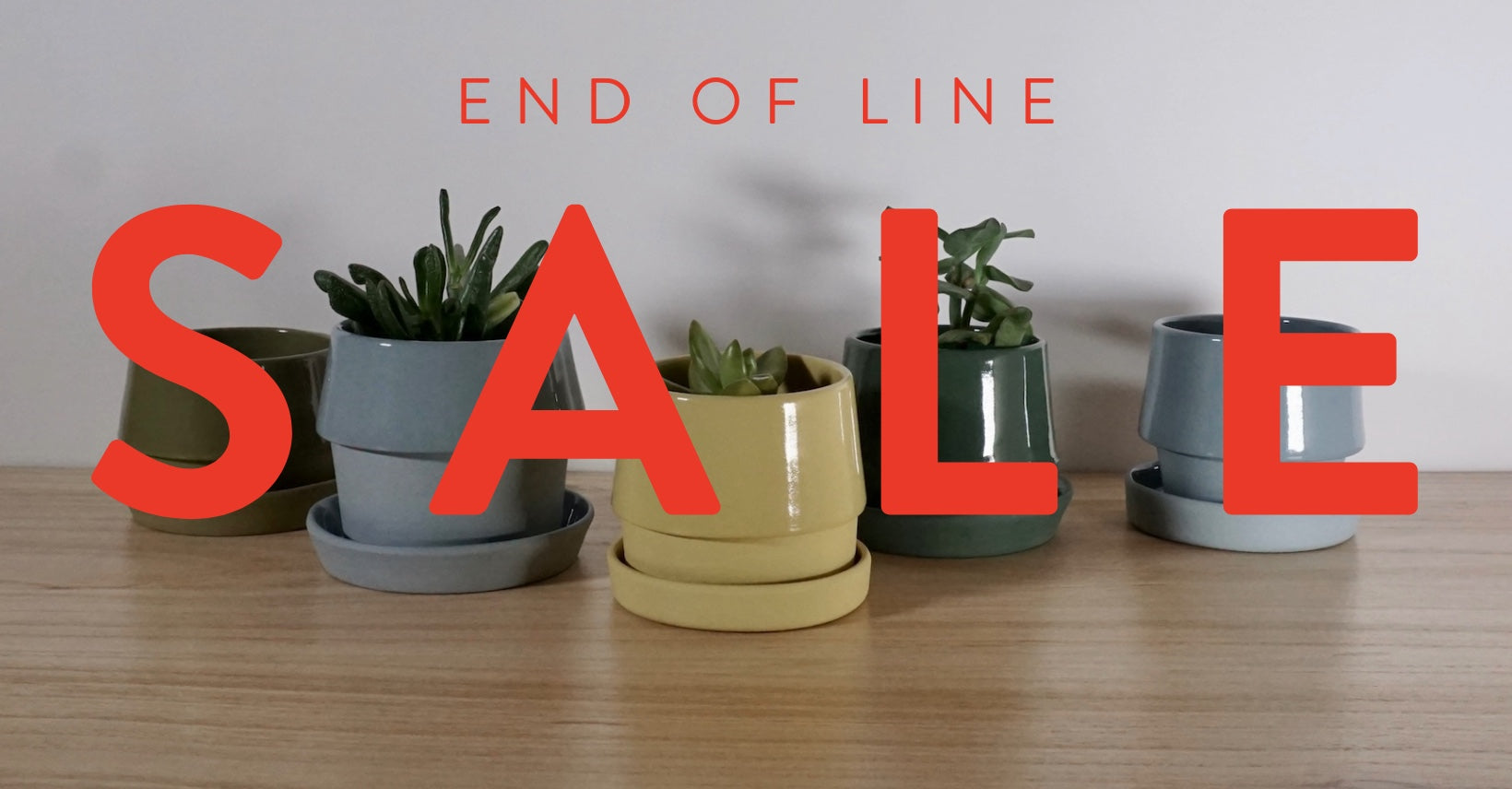 Potted plants arranged to spell out 'END OF LINE SALE' on a wooden surface.