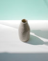 Textured ceramic vase on a light surface with a soft green background | Jode Pankhurst