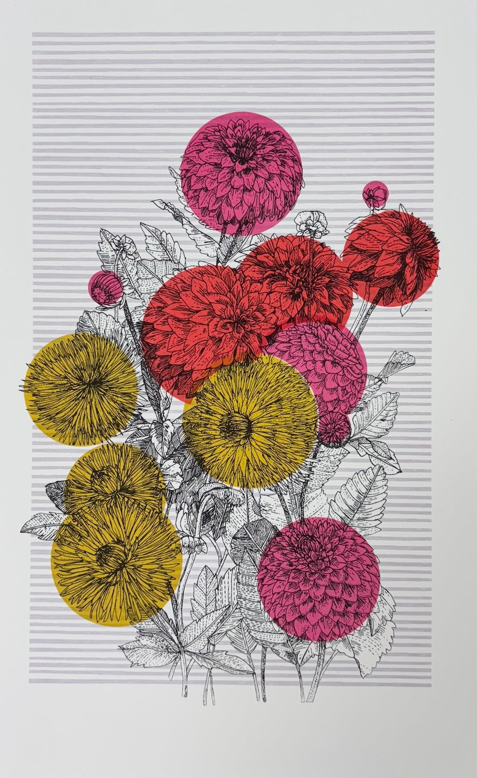 Mexican Dahlia | Clare Halifax