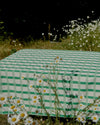 A green and white checkered picnic blanket spread out in an outdoor grassy field with white wildflowers in the foreground and background.