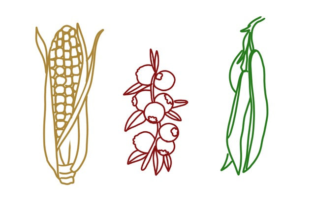 Drawings for Thanksgiving Embroidered Napkins. See & Quin for Shop Fodder