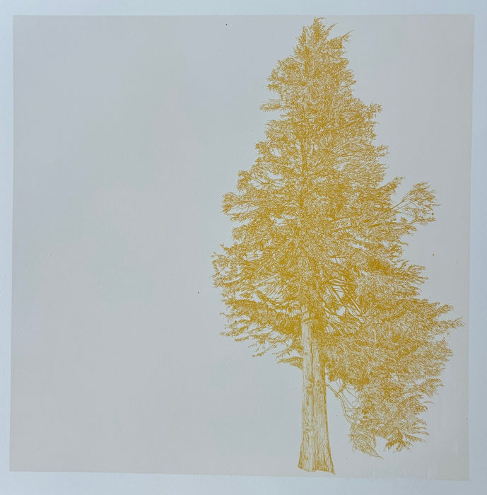 Tree to the Right, Mustard | Clare Halifax