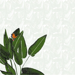 Birds of Paradise Study 1