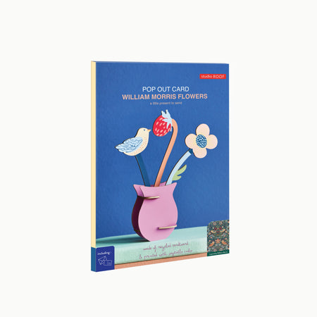 Perfect, Sustainable everlasting Flowers | William Morris | Studio Roof | Shop Fodder 