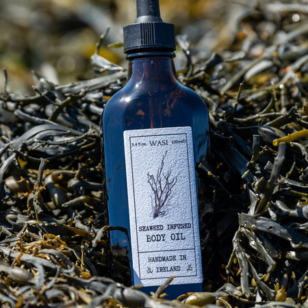 Bottle of seaweed-infused body oil on a bed of seaweed |Infused Seaweed Body Oil | WASI Seaweed | Shop Fodder