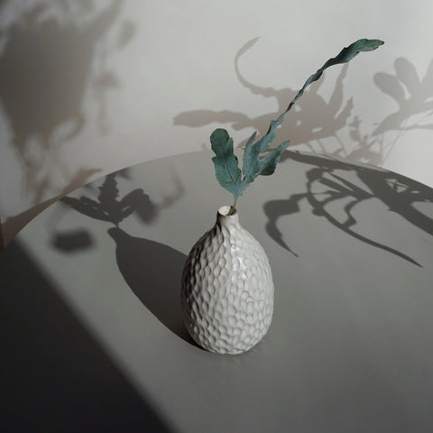 Seeds Vase