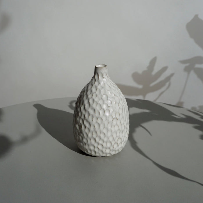 Seeds Vase