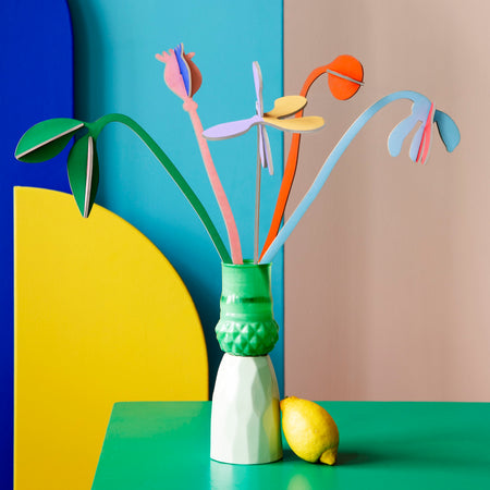 Perfect, Sustainable everlasting Flowers | Gardens of Agnes | Studio Roof | Shop Fodder