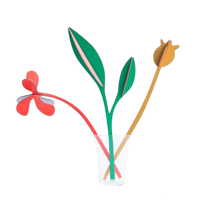 Perfect, Sustainable everlasting Flowers | Spring boogie | Studio Roof | Shop Fodder