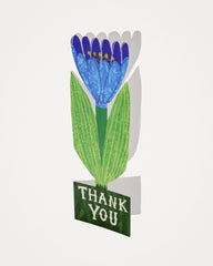 Thank You Tulip